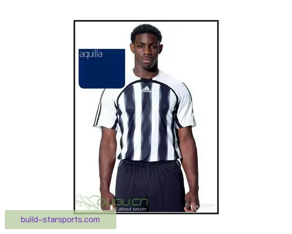 弗赖堡俱乐部最新动态分析与未来赛季战略展望