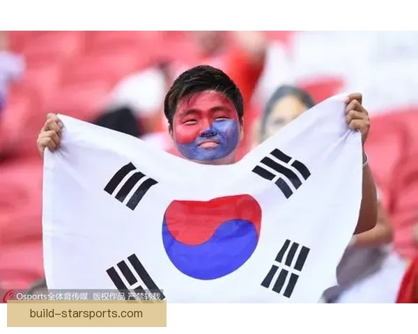 韩国世界杯辉煌回顾与影响解析全面盘点